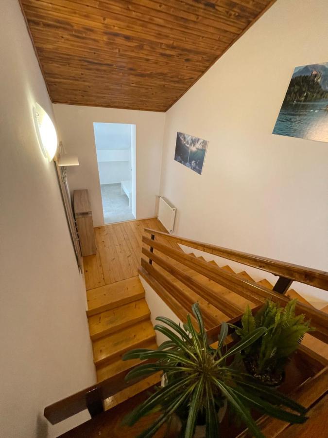 Sava River House - Apartments Блед Екстериор снимка
